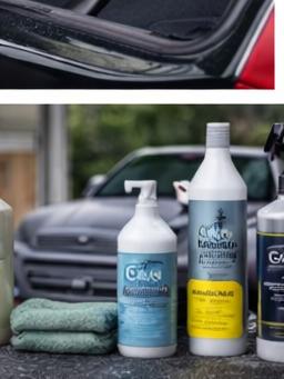 Detailing premium en Donostia